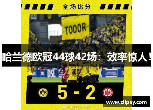 哈兰德欧冠44球42场：效率惊人！