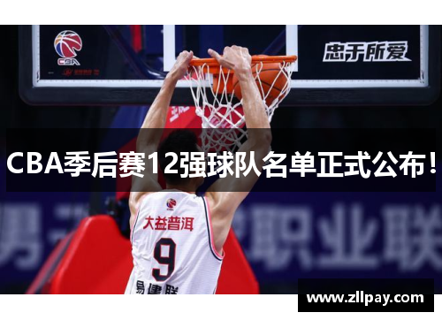 CBA季后赛12强球队名单正式公布！