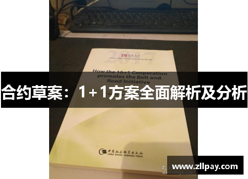 合约草案：1+1方案全面解析及分析